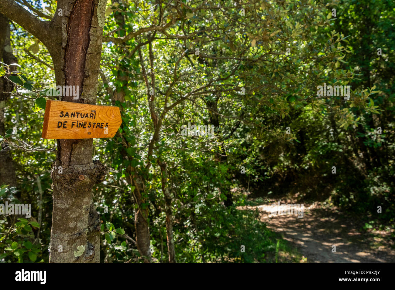 Weg durch den Wald bis zum Heiligtum Santa Maria de Finestres in der Nähe von Santa Pau, Katalonien, Spanien Stockfoto