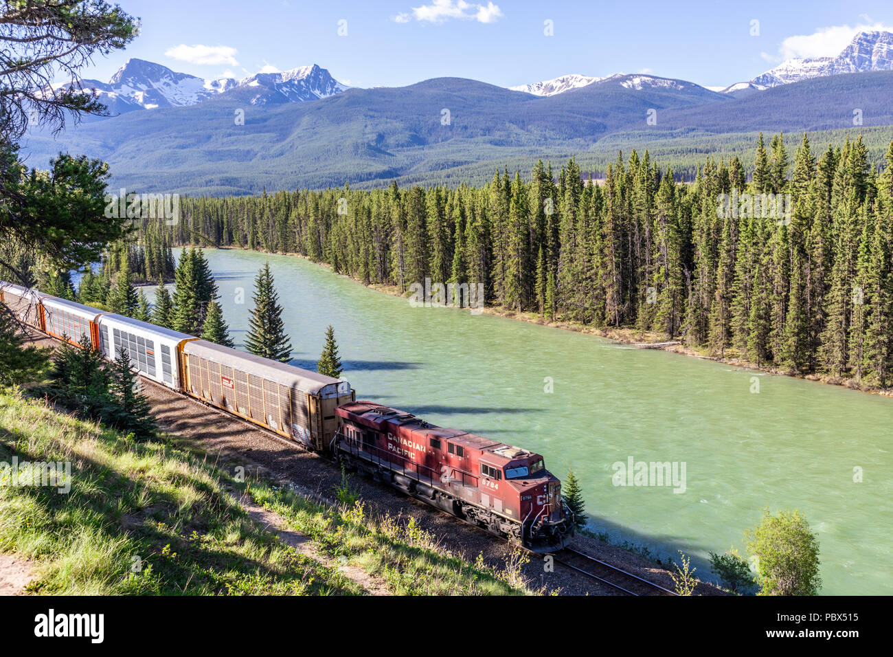 Ein Güterzug auf der Canadian Pacific Railway neben dem Bow River und Rocky Mountains auf Schloss Ausfahrt NW von Banff, Alberta, Kanada läuft Stockfoto