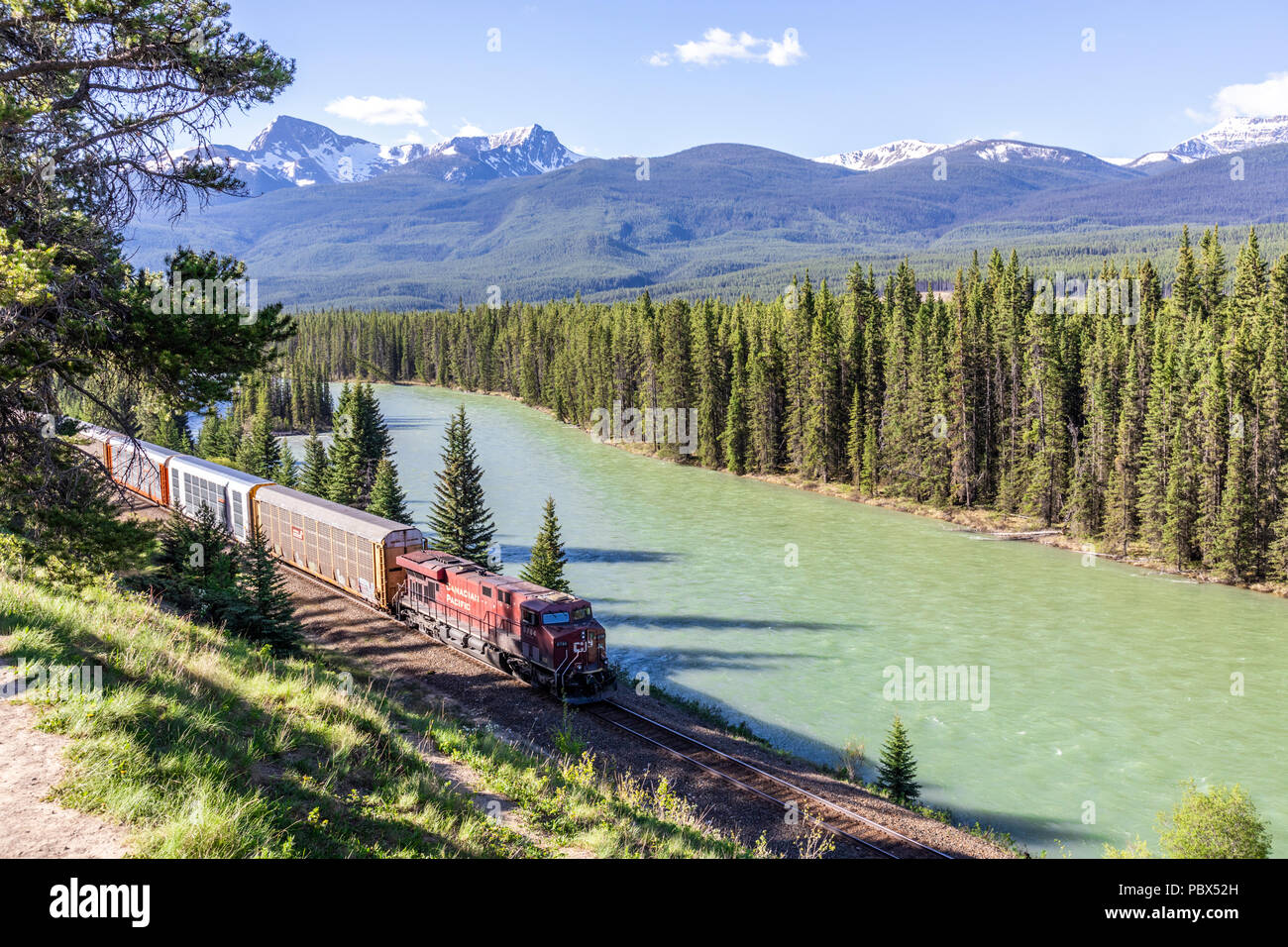 Ein Güterzug auf der Canadian Pacific Railway neben dem Bow River und Rocky Mountains auf Schloss Ausfahrt NW von Banff, Alberta, Kanada läuft Stockfoto