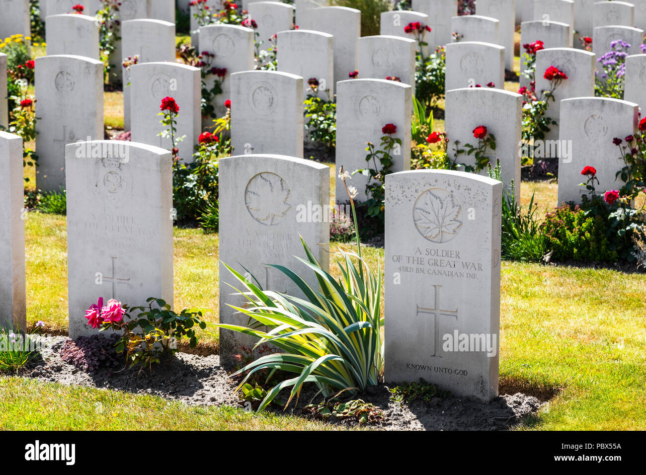 Commonwealth Kriegsgräber Kommission Friedhof an Poelcapelle in der Nähe von Passchendaele, Belgien mit 7500 Gräbern, einschließlich der Britischen, kanadischen, australischen, Neue Z Stockfoto