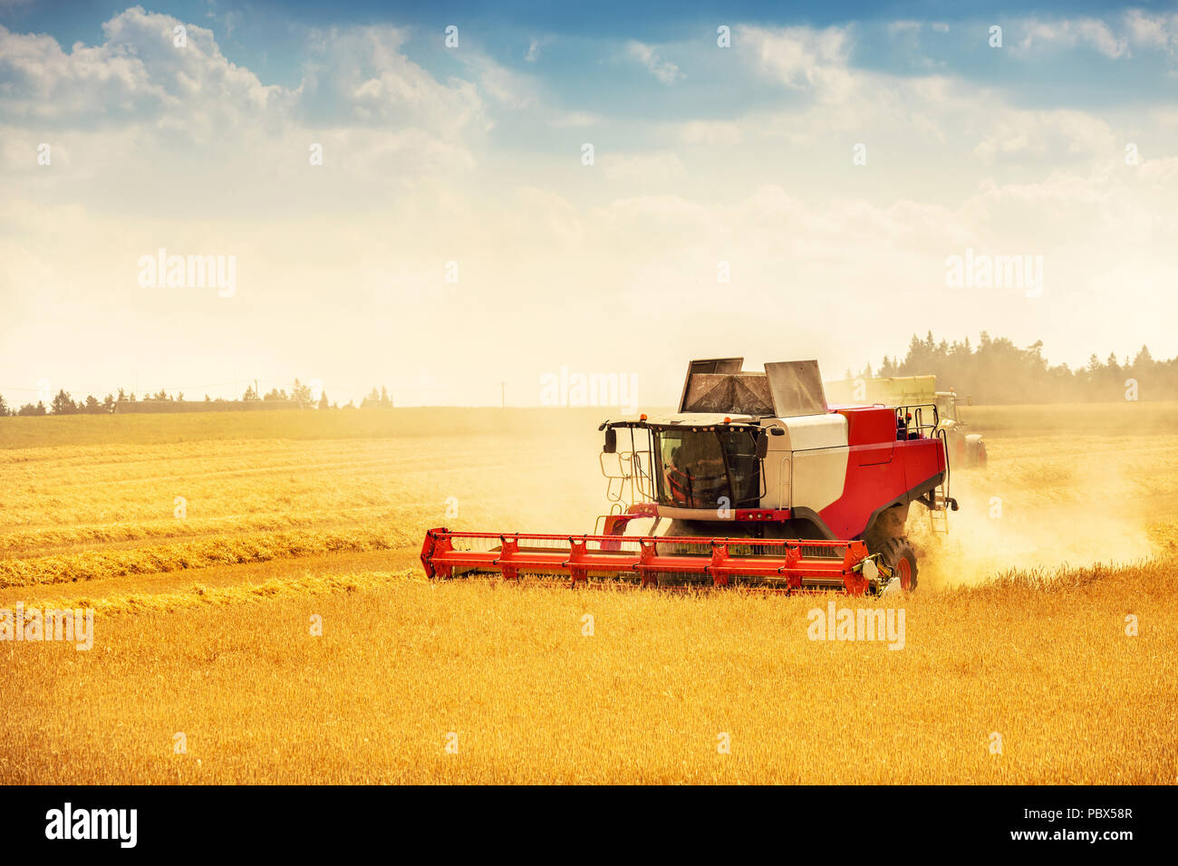 Mähdrescher arbeiten auf goldenen Müsli Feld Stockfoto