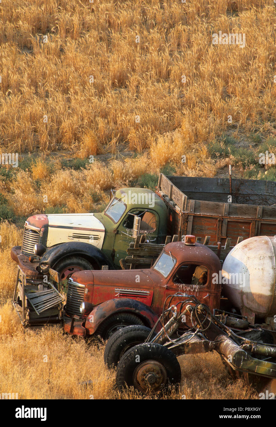 Alte Lkw von wheatfield, Blue Mountain National Scenic Byway, Morrow County, Oregon Stockfoto