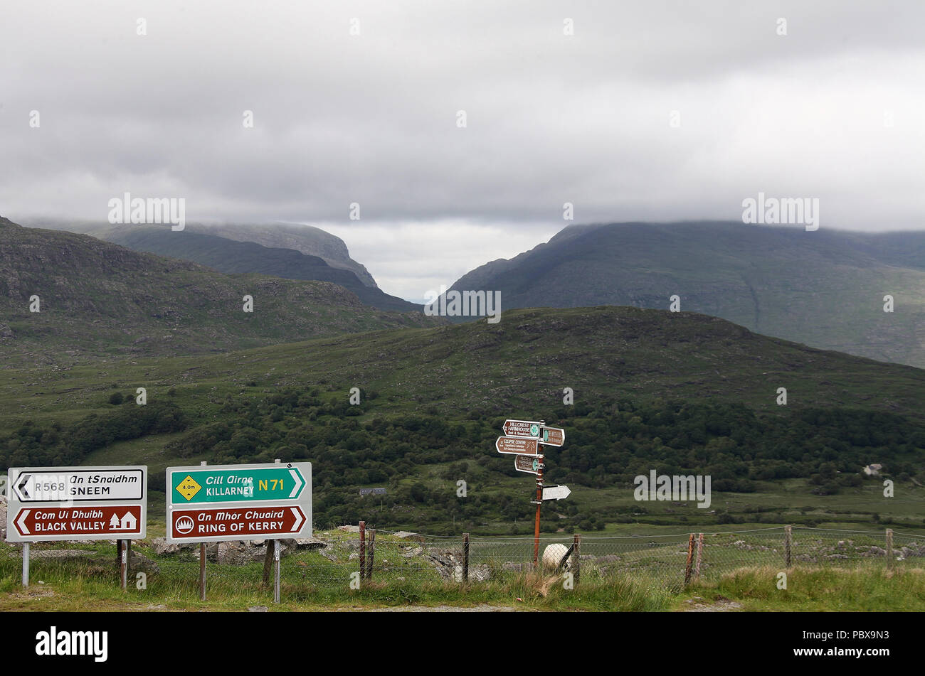 Blick auf Macgillycuddys Reeks von Molls Gap im County Kerry Stockfoto