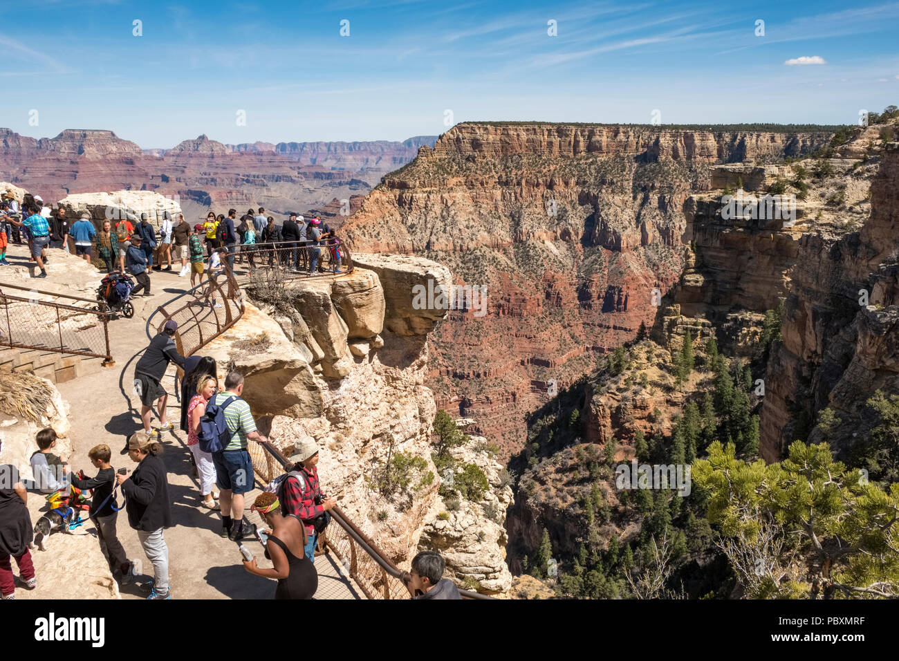Touristen am Grand Canyon, Arizona, AZ, USA Stockfoto