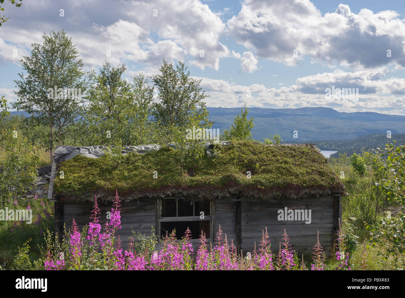 Alten, verlassenen Holzhütte, durch Schiefer Arbeitnehmer in alten Tagen verwendet. Tverrelvdalen, Alta, Norwegen. Stockfoto