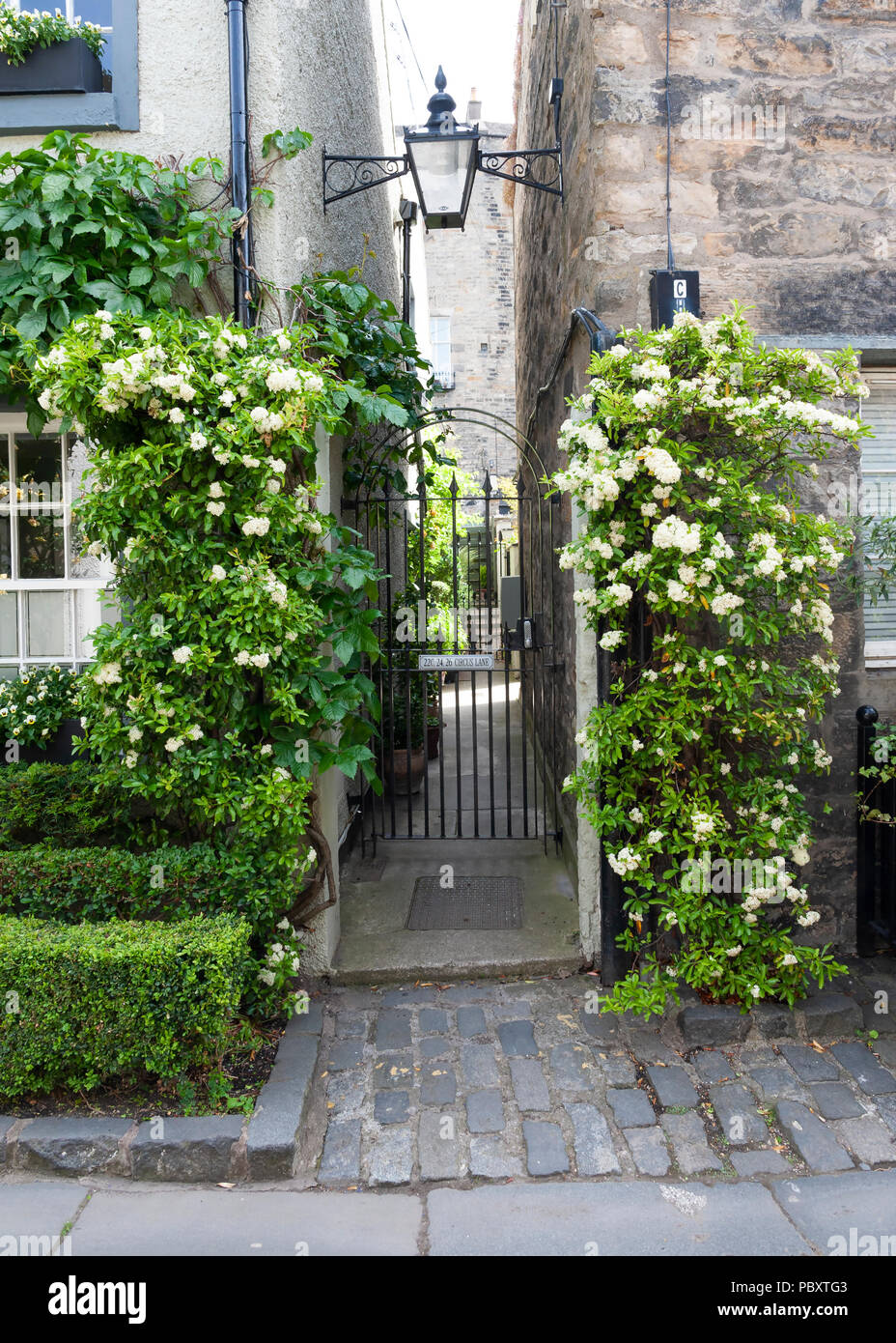 Eine hübsche vennel im Zirkus Lane, Edinburgh. Stockfoto