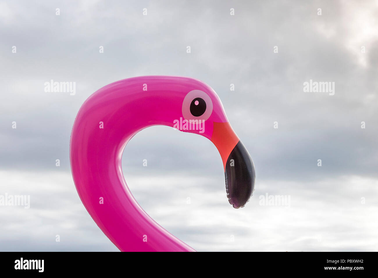 Ein rosa Aufblasbare Kunststoff Flamingo. Stockfoto