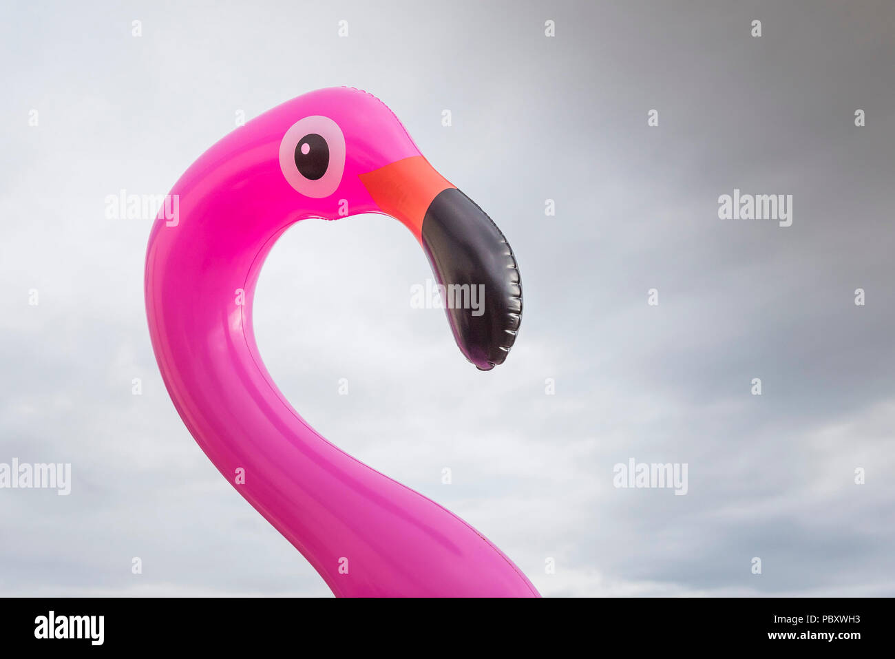 Ein rosa Aufblasbare Kunststoff Flamingo. Stockfoto