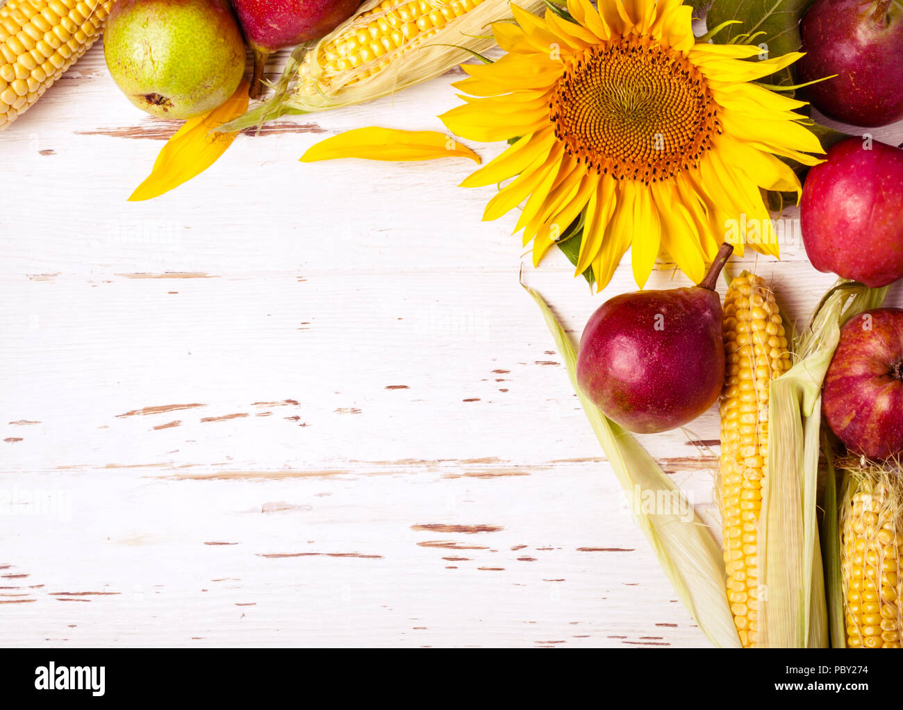 Herbst Hintergrund mit Mais, Sonnenblumen und Birnen. Ernte Urlaub Konzept. Stockfoto