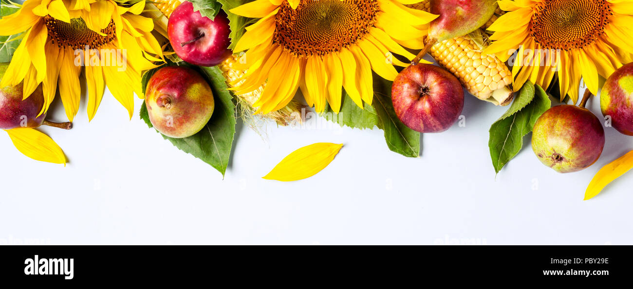 Herbst Hintergrund. Grenze von Sonnenblumen, Mais und Birnen. Ernte Urlaub Konzept. Lange banner Format Stockfoto
