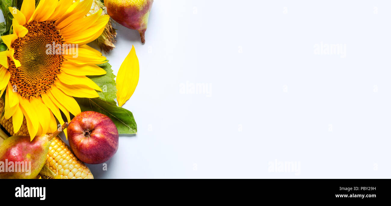 Herbst Hintergrund. Grenze von Sonnenblumen, Mais und Birnen. Ernte Urlaub Konzept. Lange banner Format Stockfoto