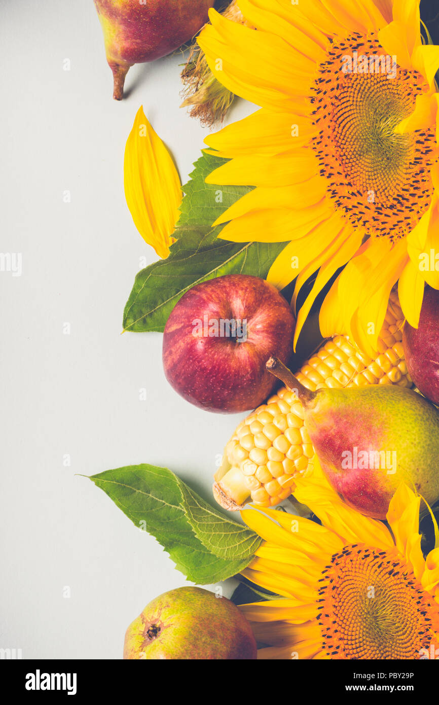 Herbst Zusammensetzung von Sonnenblumen, Mais und Birnen. Stockfoto
