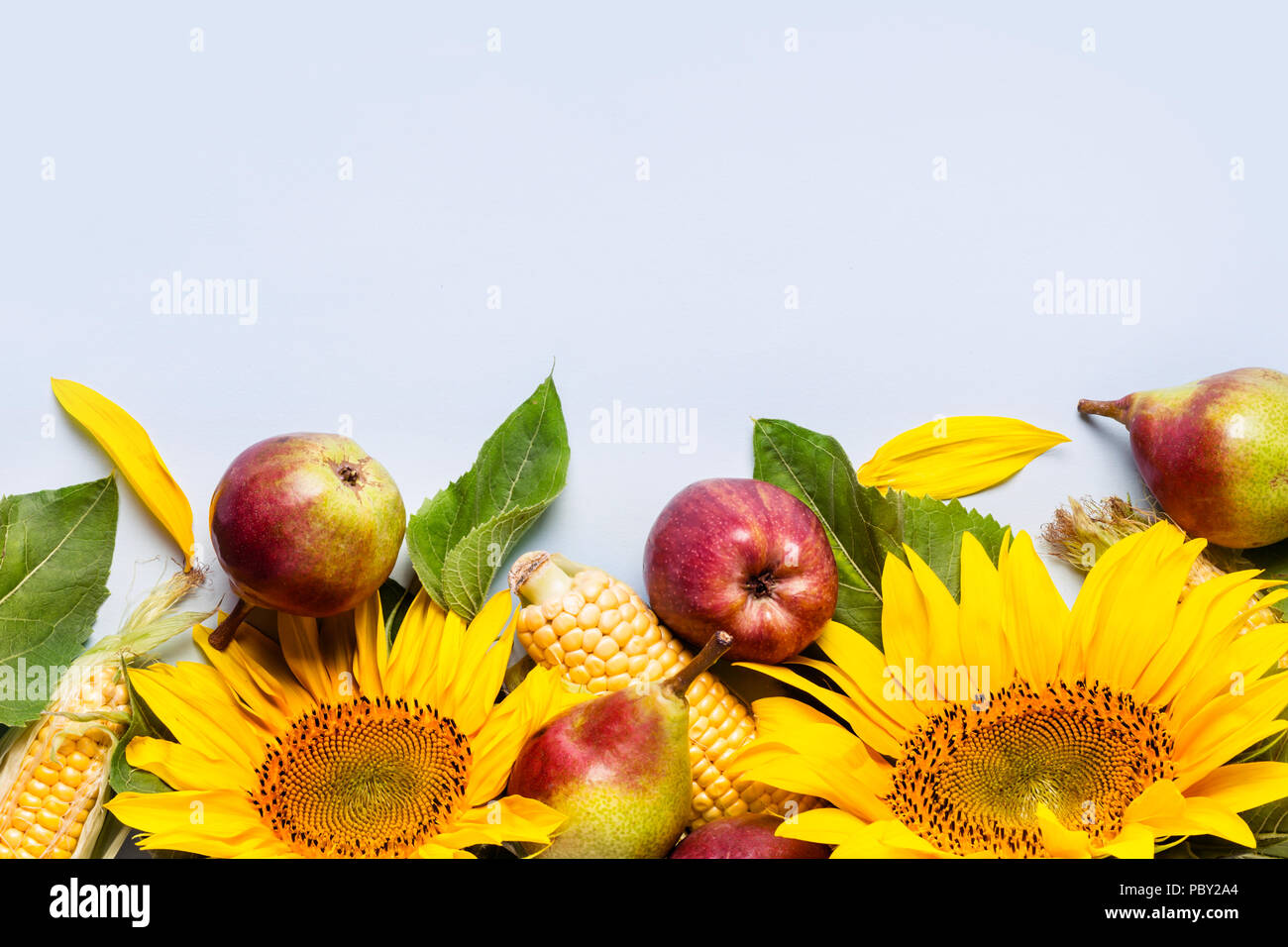 Herbst Zusammensetzung von Sonnenblumen, Mais und Birnen. Ernte Urlaub Konzept Stockfoto