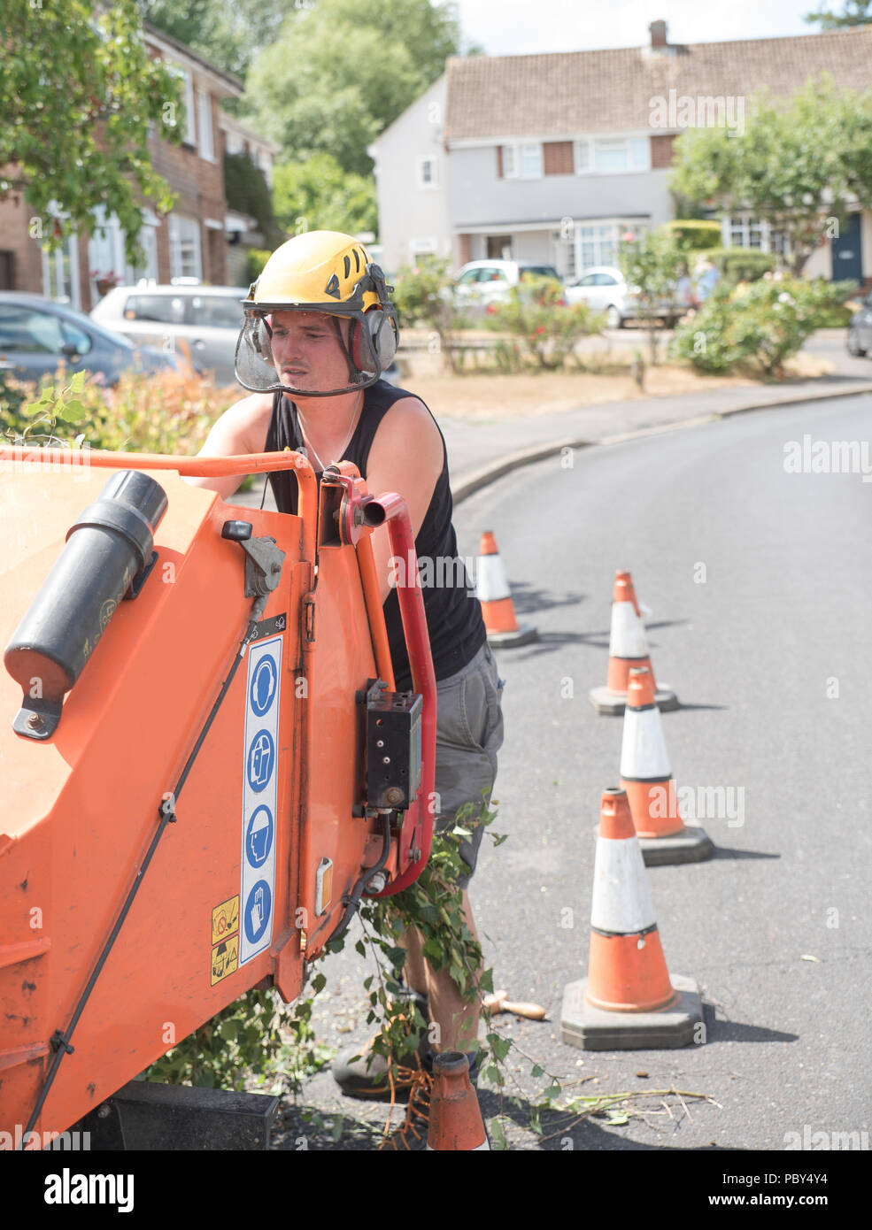 Baum Chirurgen mit einer Bearbeitung von Holz chipper Maschine Stockfoto