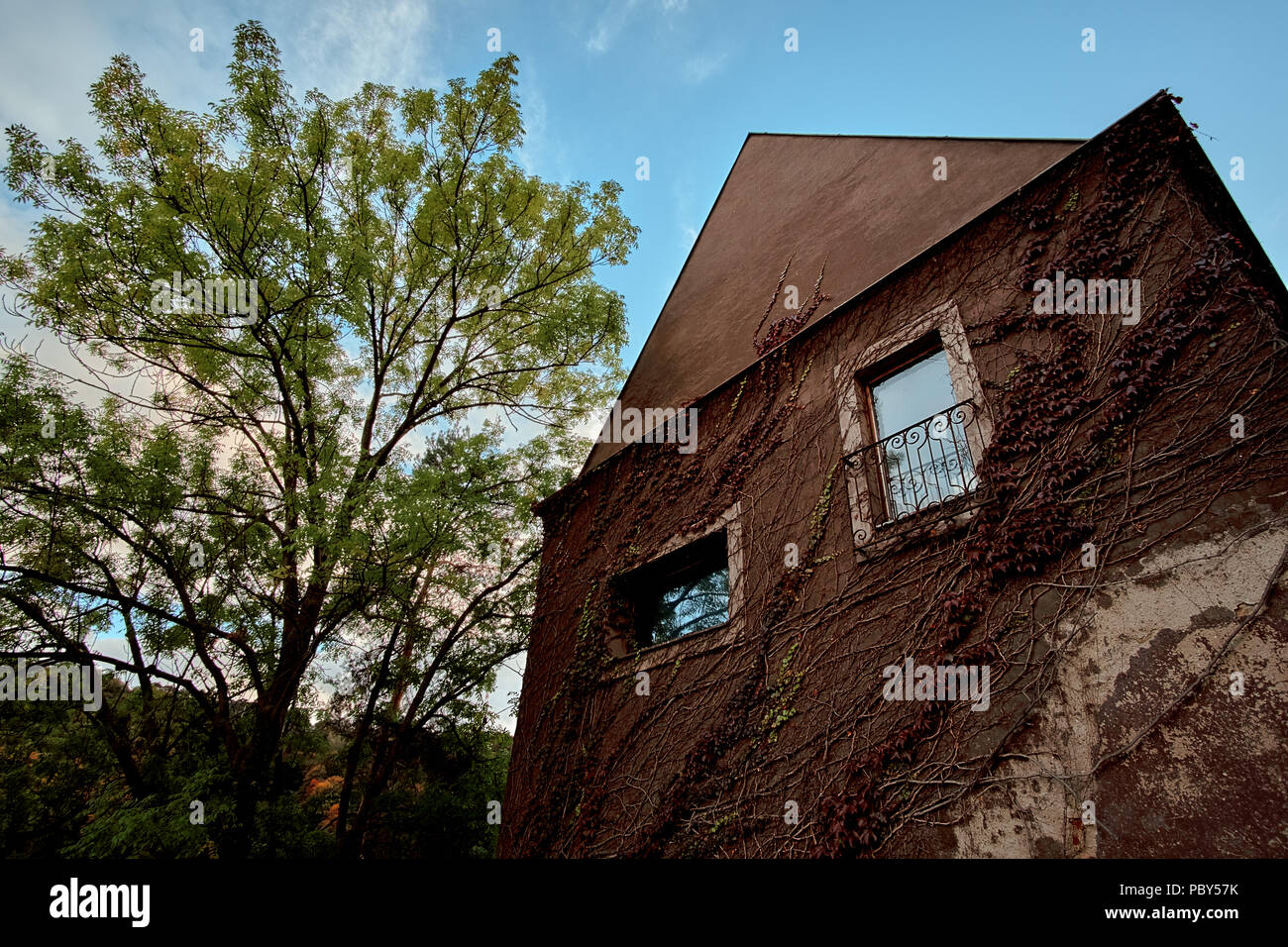 Schönes Haus mit einer Baumansicht in der Uvoz Straße in der Altstadt von Prag in der Nähe von Weinberg auf einem Hügel in Prag, Tschechische Republik. Stockfoto