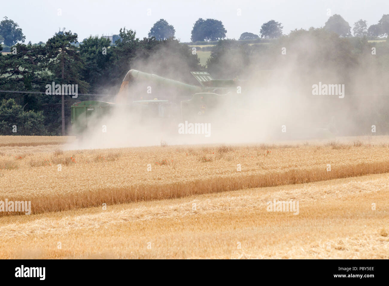 Earls Barton, Northamptonshire, Großbritannien. 26. Juli, 2018. Ein Feld aus Earls Barton rd mit einem John Deere S 785i HillMaster Mähdrescher Herstellung die die meisten Stockfoto