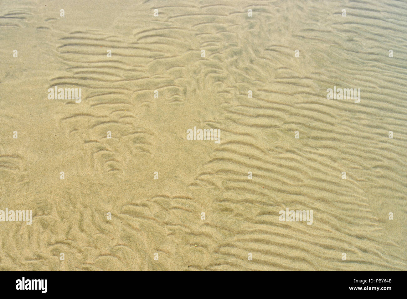 Sand Wellen in Pine Lake, Wood Buffalo National Park, Alberta, Kanada Stockfoto