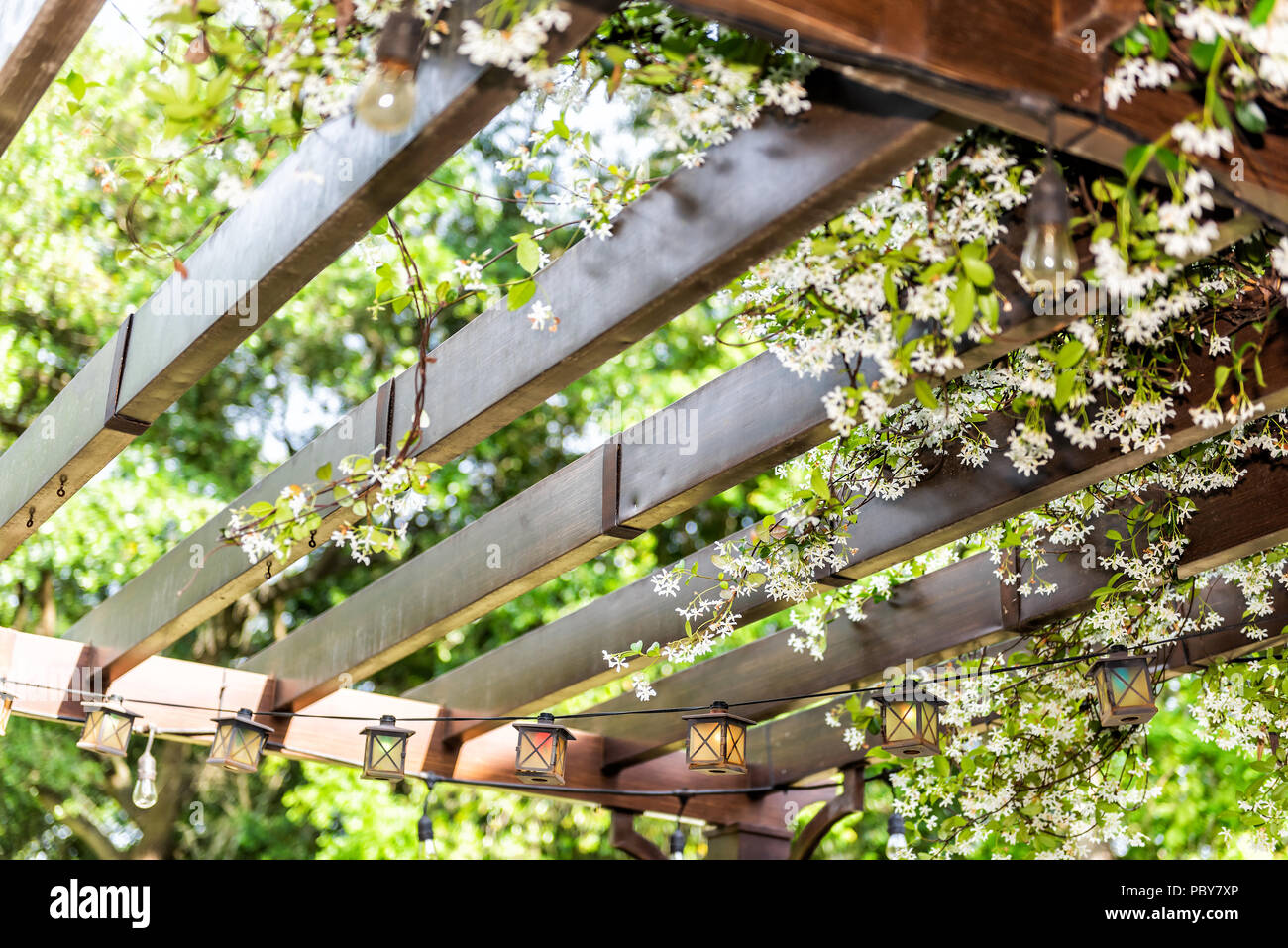 Nahaufnahme des Patio outdoor Frühling Blumen Garten im Hinterhof Halle home, Zen mit Pergola Vordach Pavillon aus Holz, Pflanzen Stockfoto