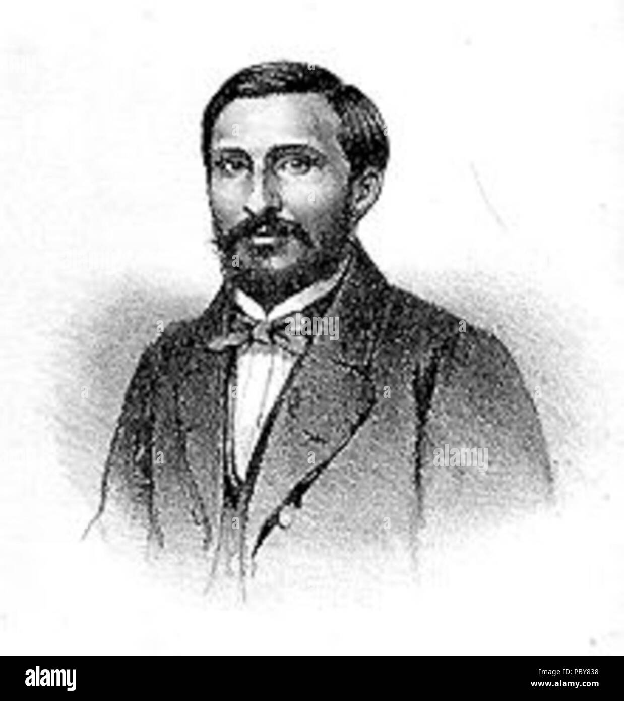 167 Domingos Antônio Raiol, Barão de Guajará Stockfoto