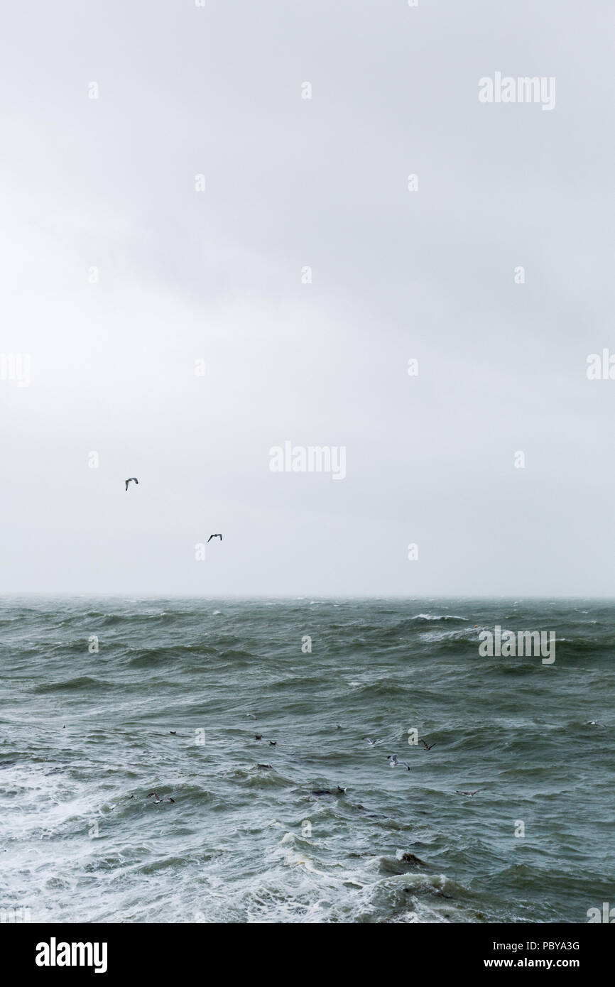 Stürmische Meere an einem Sommertag am Strand in Brighton Stockfoto