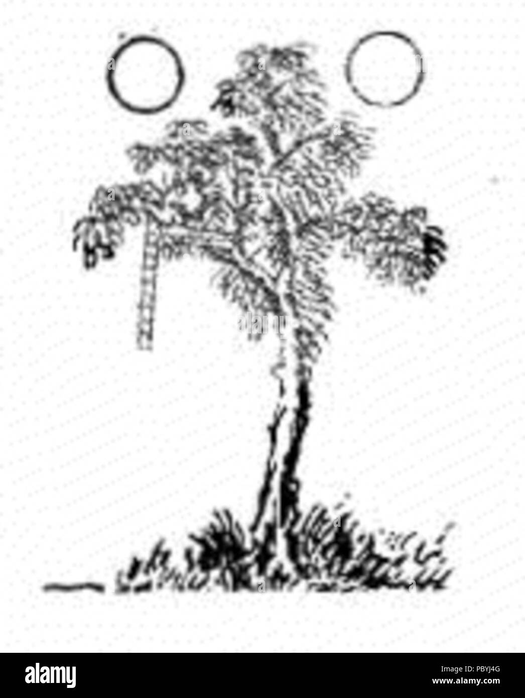 588 Tbt-27 Stockfoto