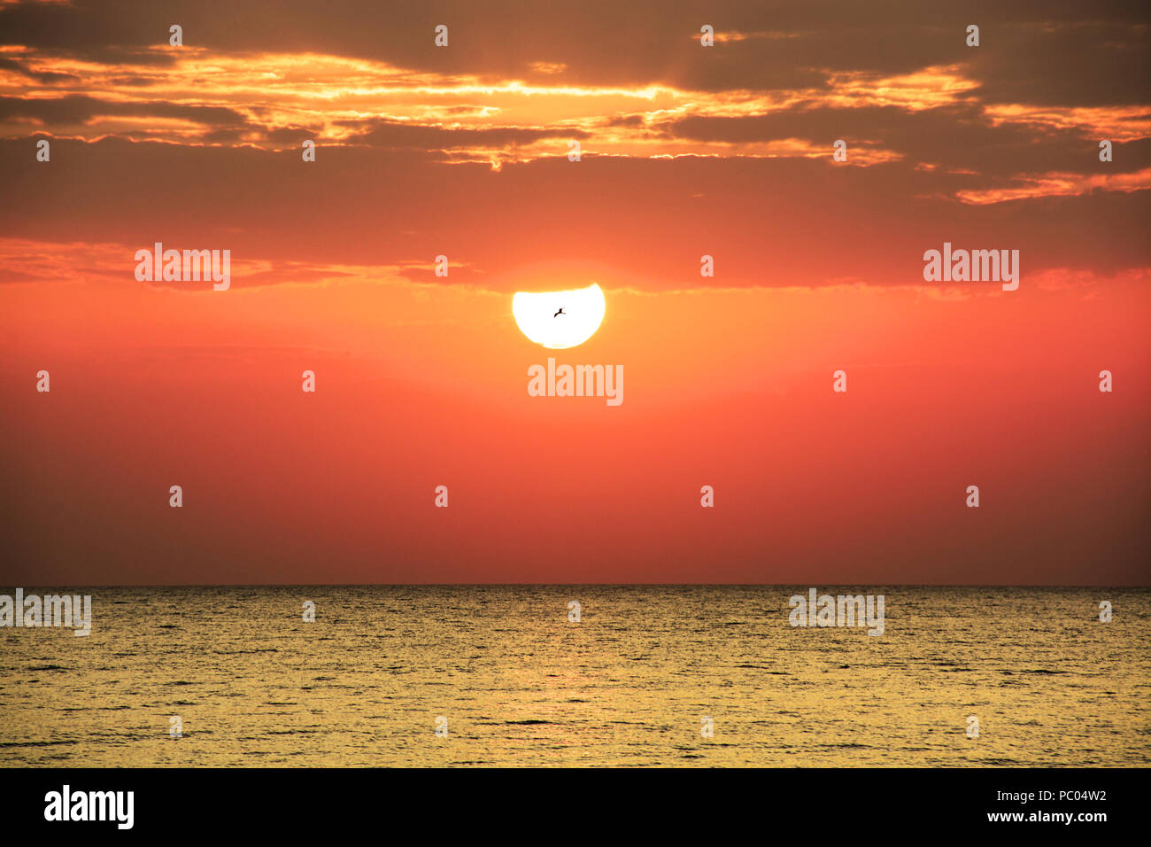 Magnifecent Sonnenaufgang an einem Strand in Panama Stockfoto
