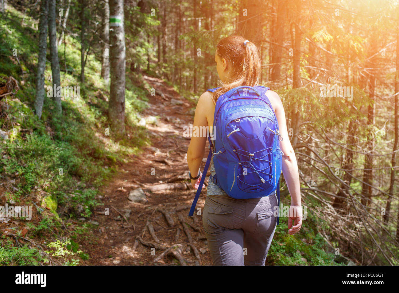 Junge glücklich Backpacker Frau Wandern in Wäldern Stockfoto