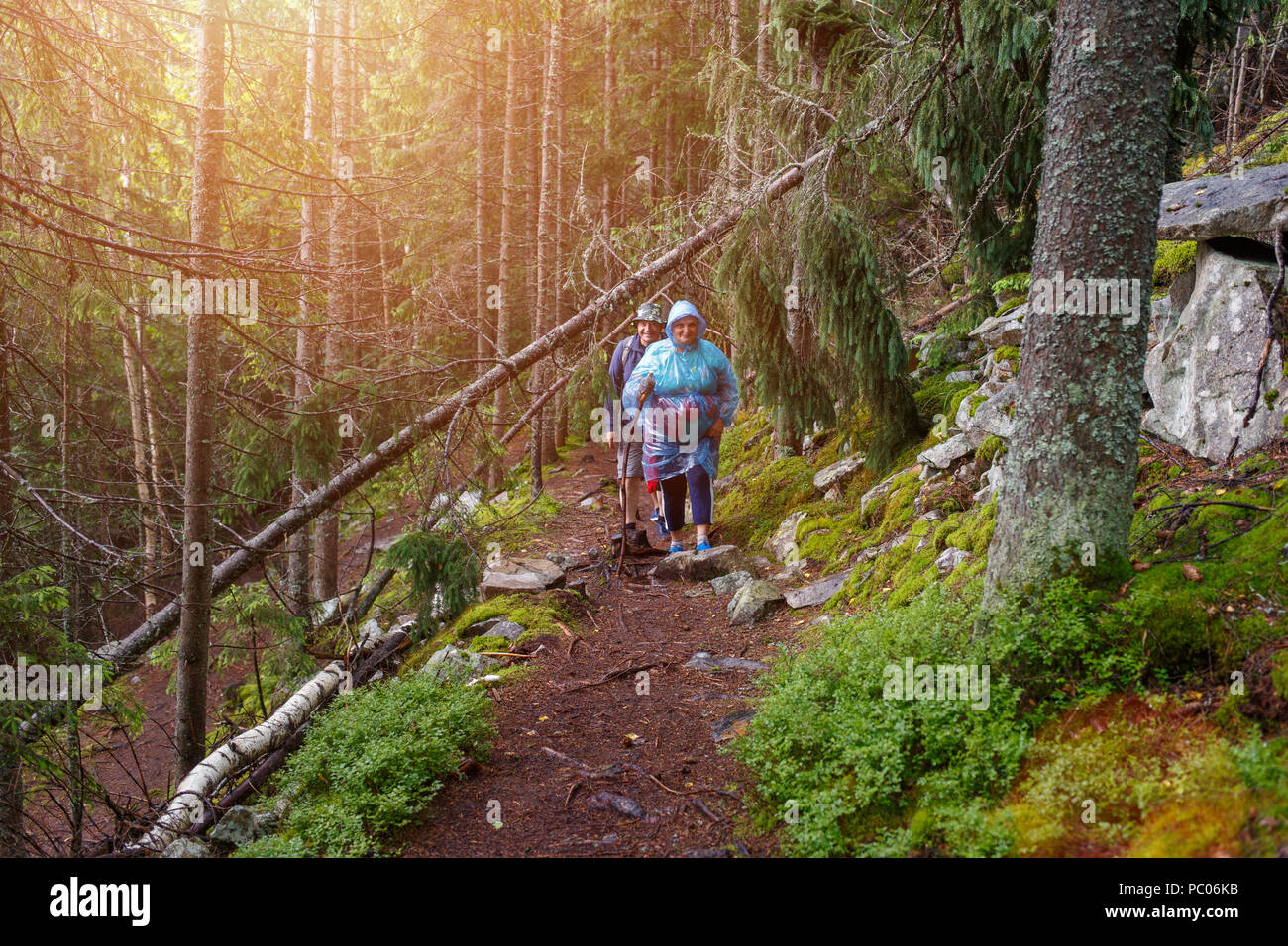 Gruppe von älteren Touristen wandern im regnerischen Wald Stockfoto