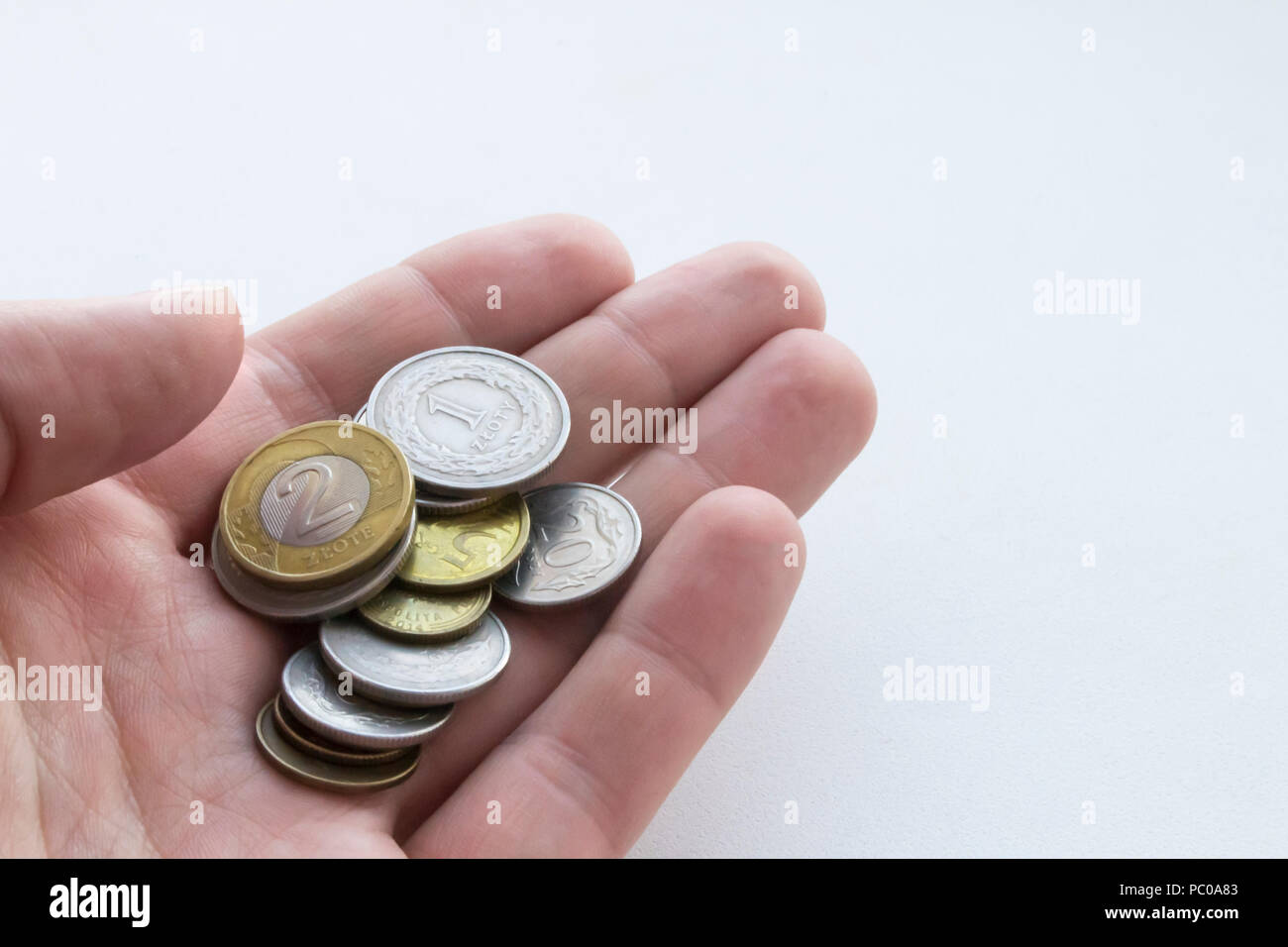 Polnischer Zloty Münzen in der Hand auf weißem Hintergrund. Isoliert Stockfoto