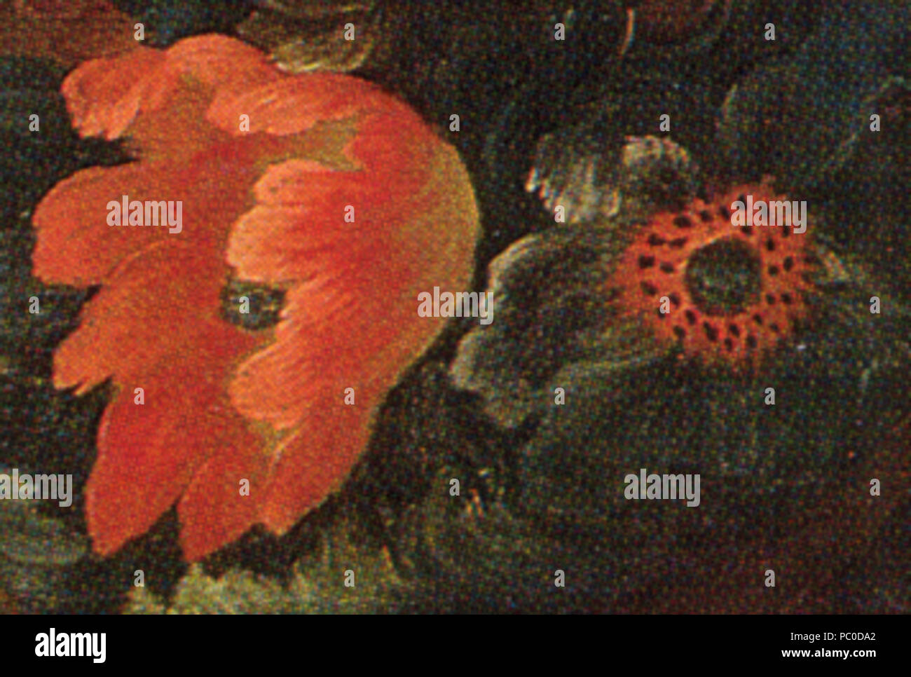 309 Jane Allgood detail Stockfoto