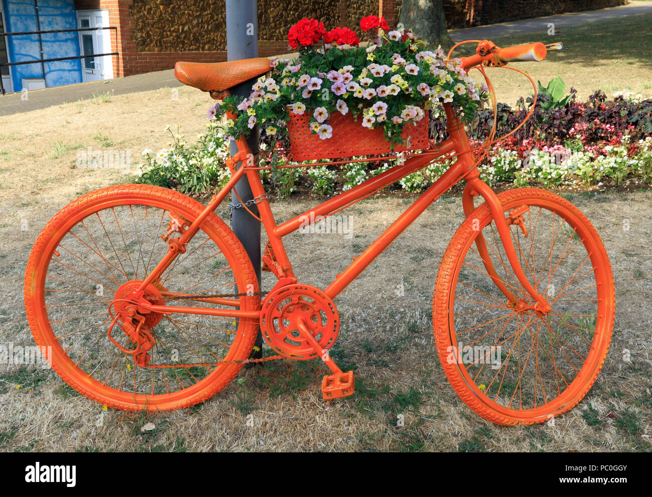Hunstanton in voller Blüte, orangefarbene gesprüht Fahrrad, ungewöhnlich, Container, Bettwäsche Pflanzen, Blumen Stockfoto