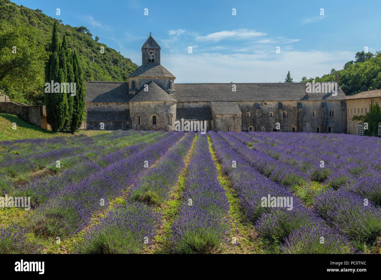 Abbaye Notre-Dame de Sénanque, Gordes, Vaucluse, Provence, Frankreich, Europa Stockfoto