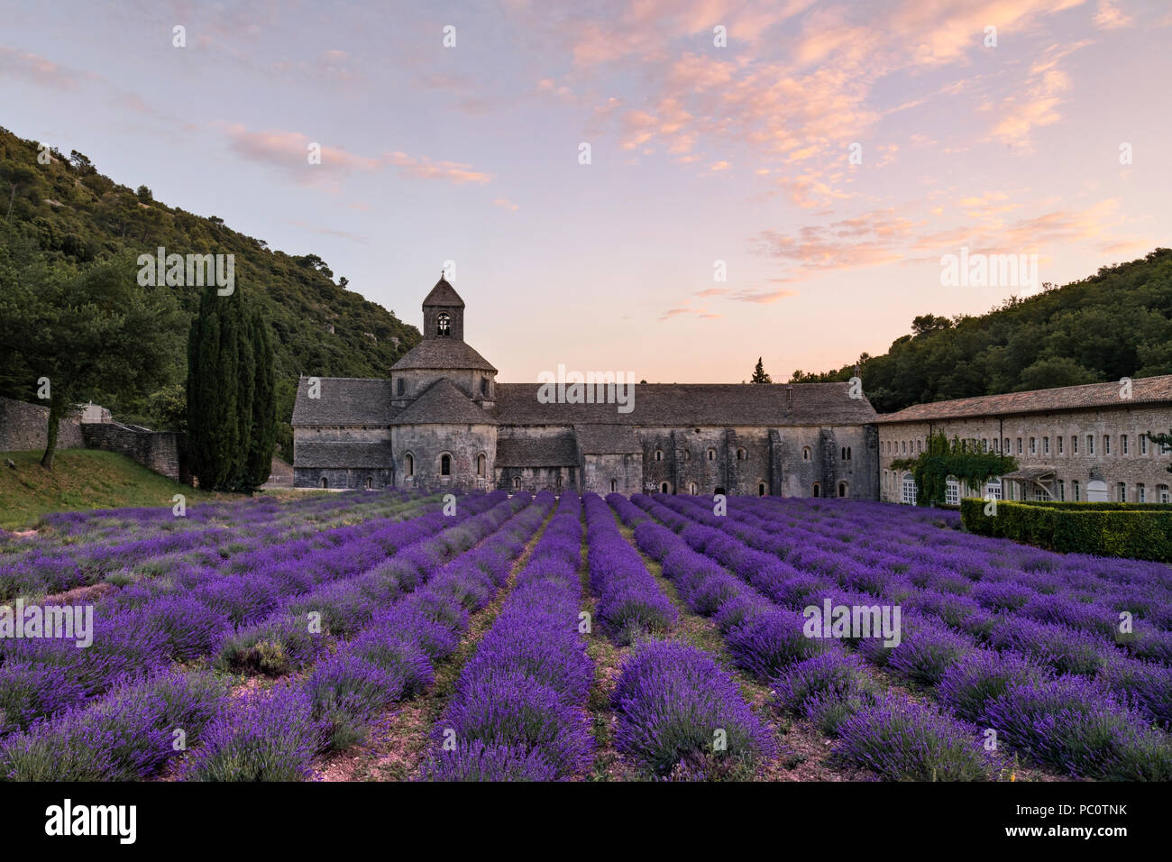 Abbaye Notre-Dame de Sénanque, Gordes, Vaucluse, Provence, Frankreich, Europa Stockfoto