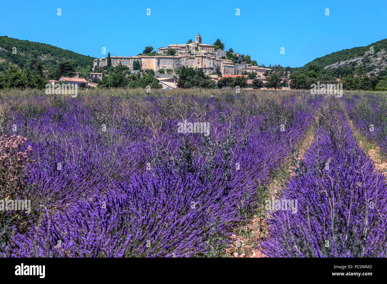 Banon, Alpes-de-Haute-Provence, Frankreich, Europa Stockfoto
