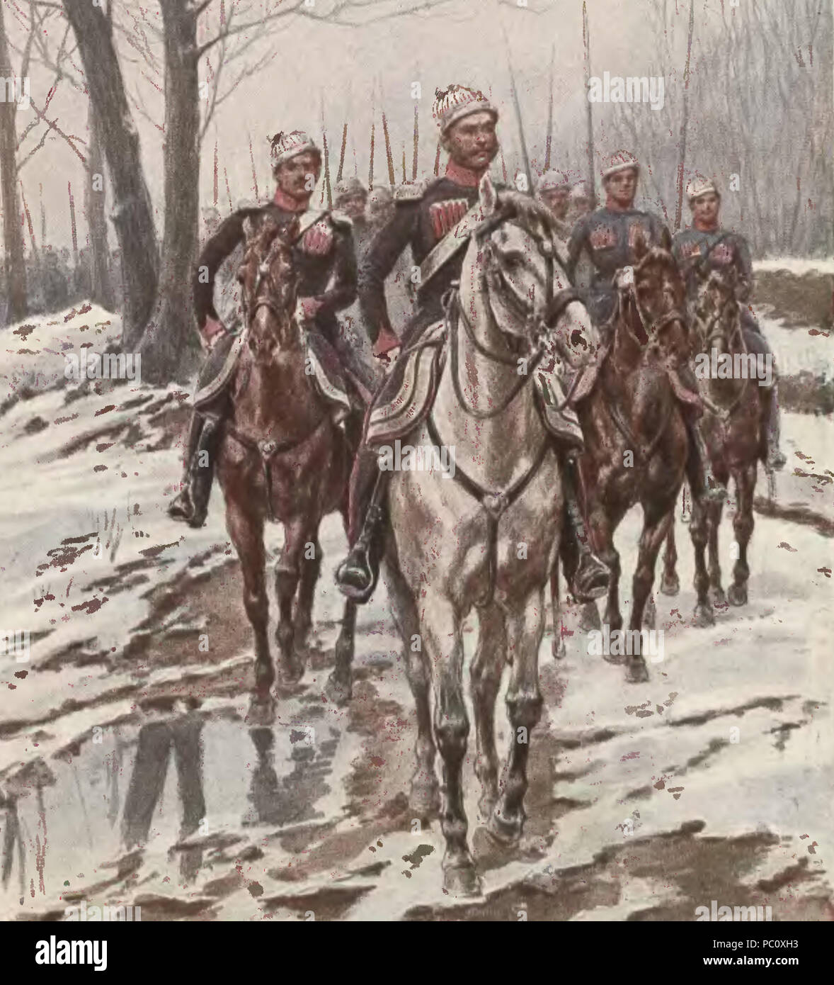 347 KrakusiXW Stockfoto