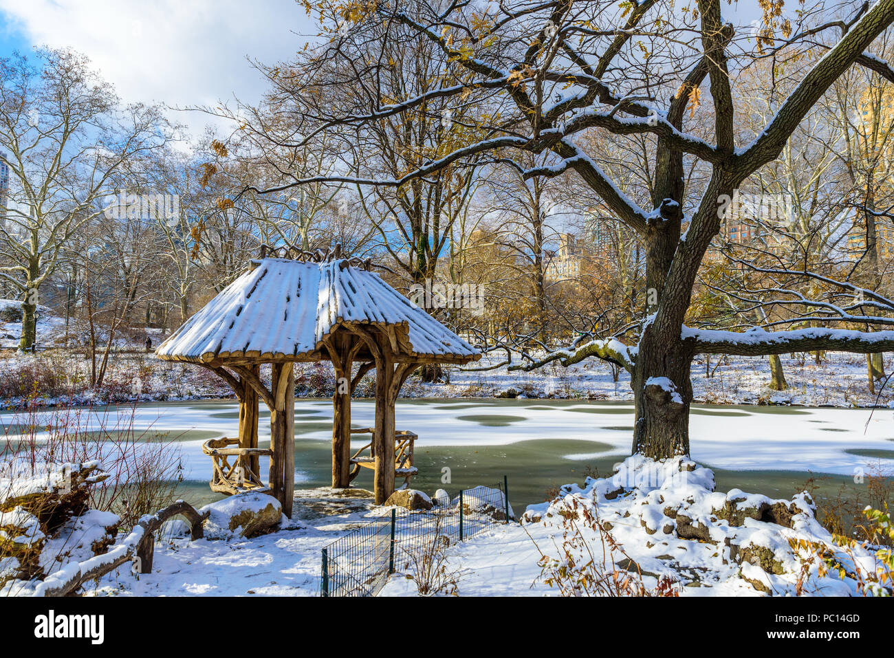 Winterlandschaft im Central Park von New York City mit Eis und Schnee, USA Stockfoto