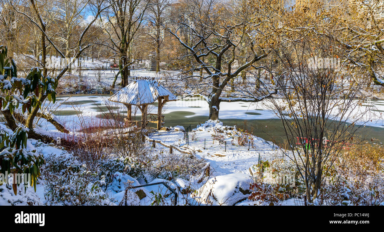 Winterlandschaft im Central Park von New York City mit Eis und Schnee, USA Stockfoto