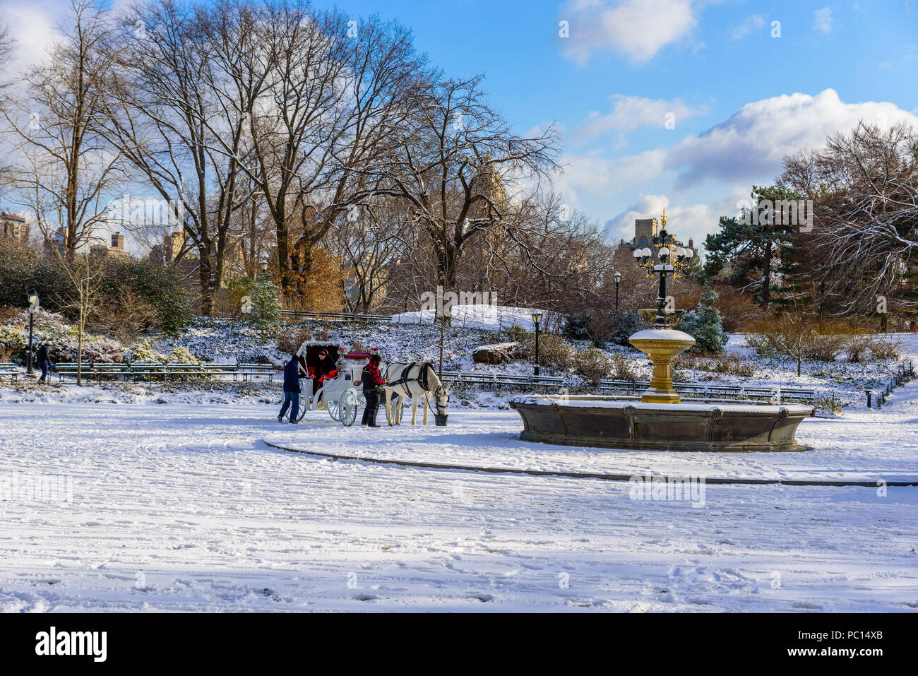 Winterlandschaft im Central Park von New York City mit Eis und Schnee, USA Stockfoto