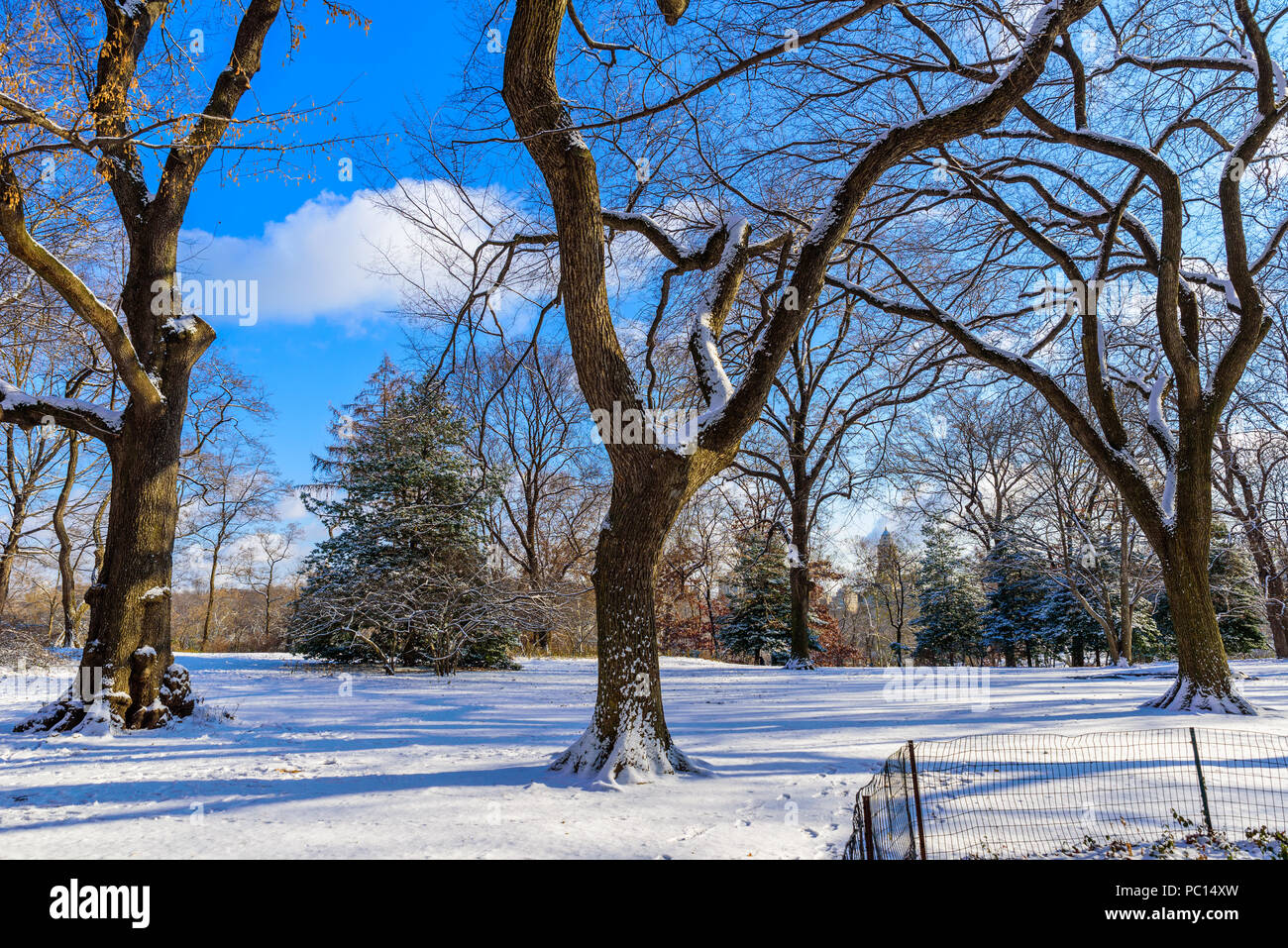Winterlandschaft im Central Park von New York City mit Eis und Schnee, USA Stockfoto