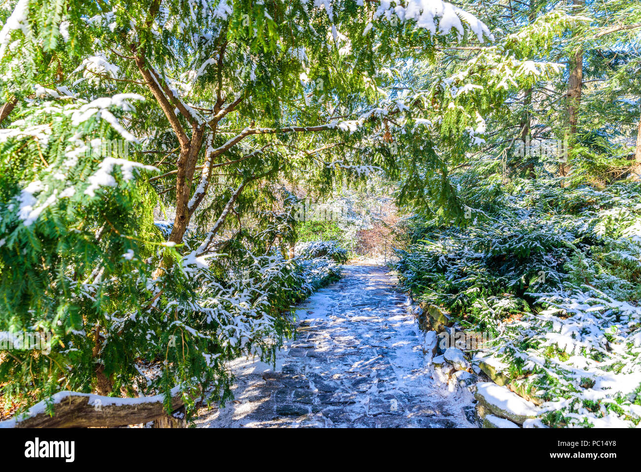 Winterlandschaft im Central Park von New York City mit Eis und Schnee, USA Stockfoto
