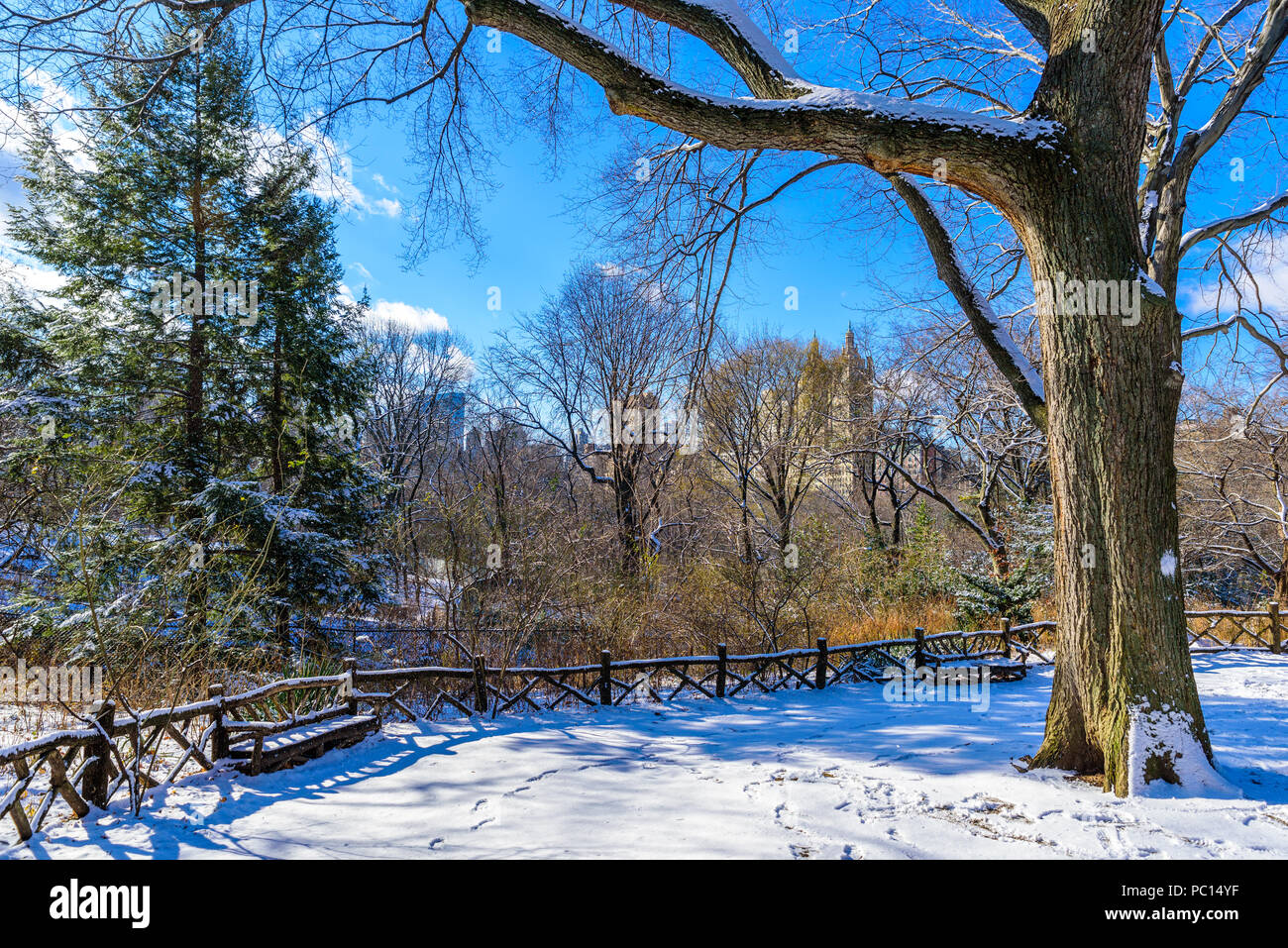 Winterlandschaft im Central Park von New York City mit Eis und Schnee, USA Stockfoto