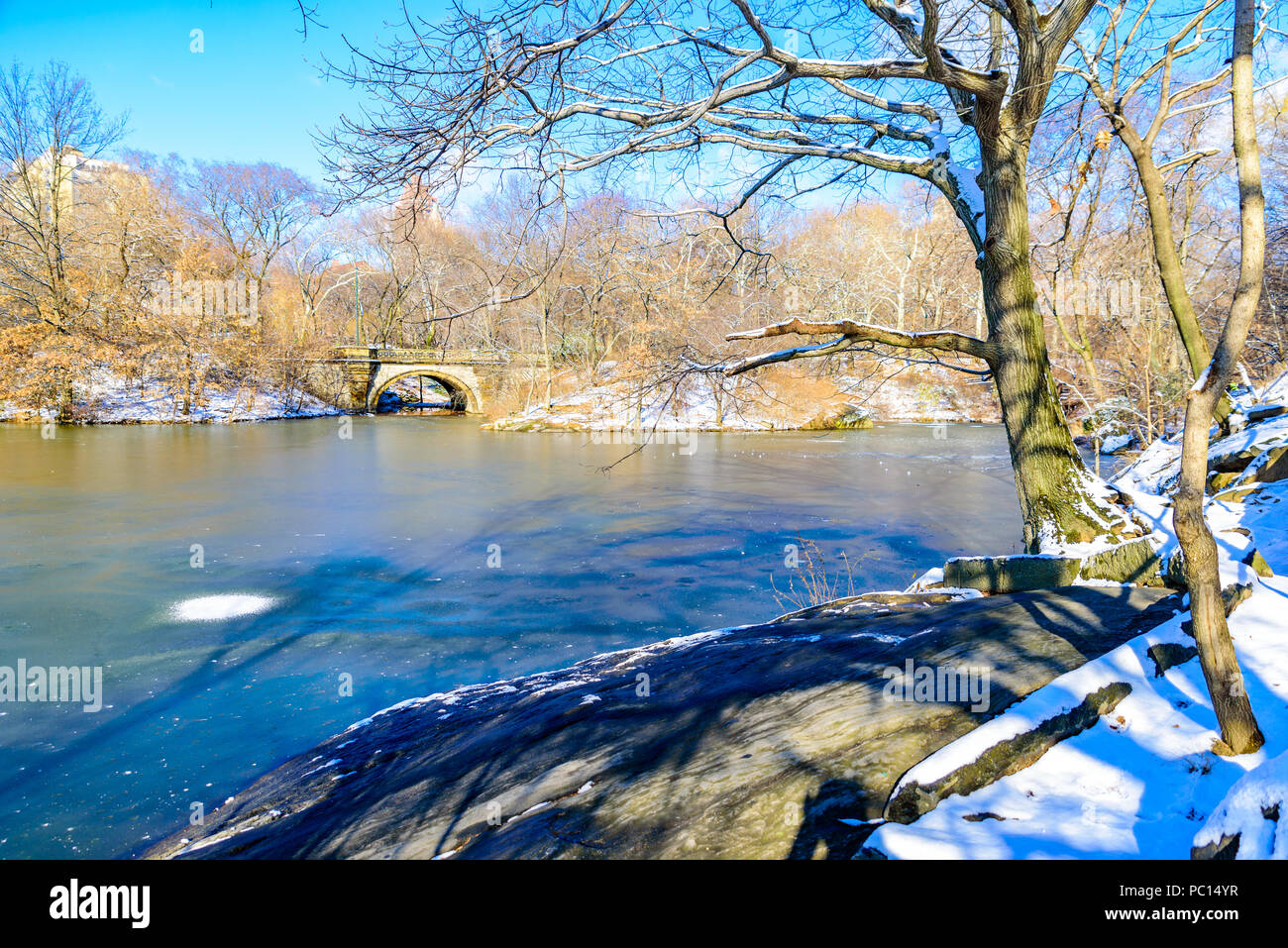 Winterlandschaft im Central Park von New York City mit Eis und Schnee, USA Stockfoto
