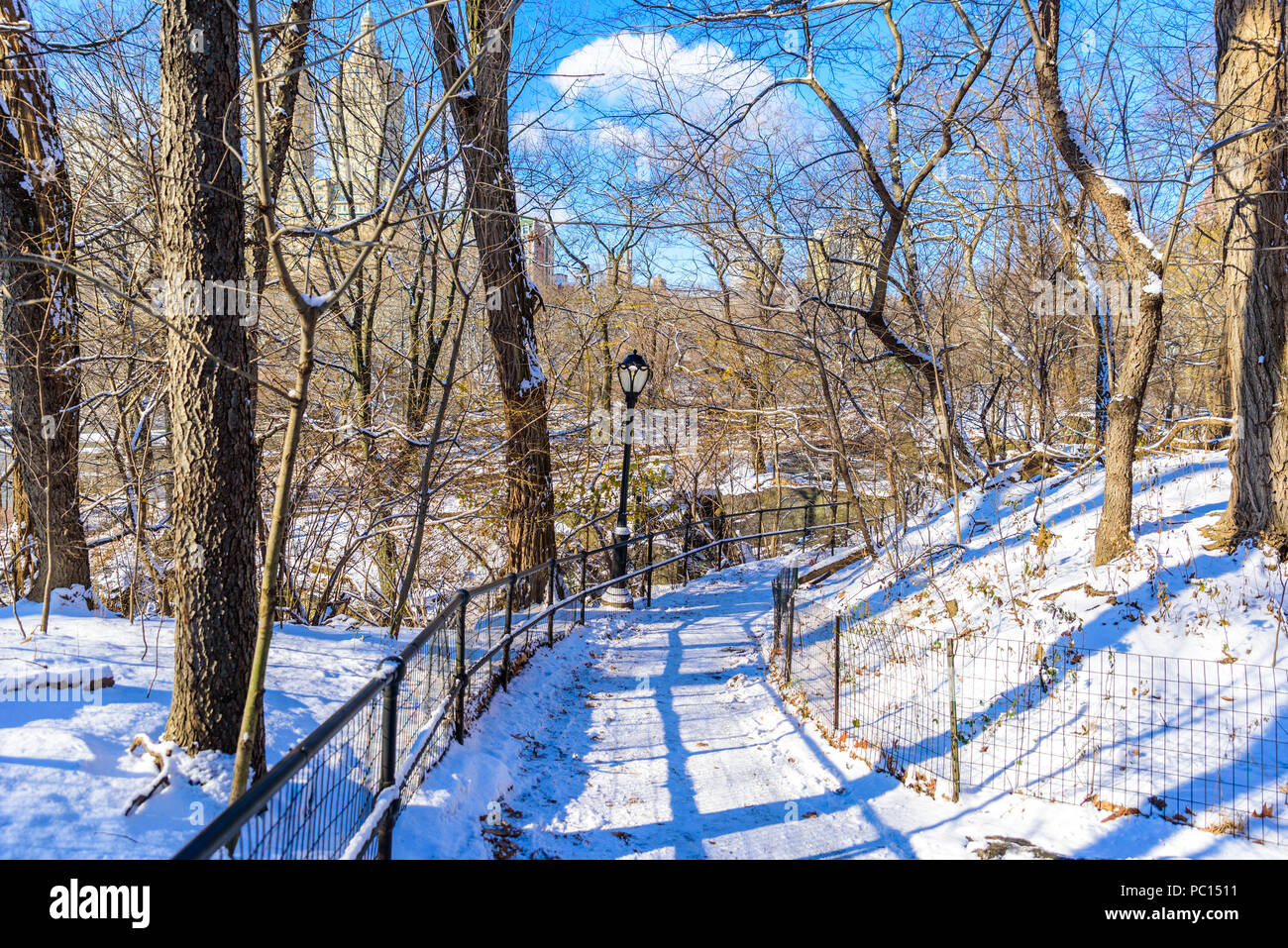 Winterlandschaft im Central Park von New York City mit Eis und Schnee, USA Stockfoto