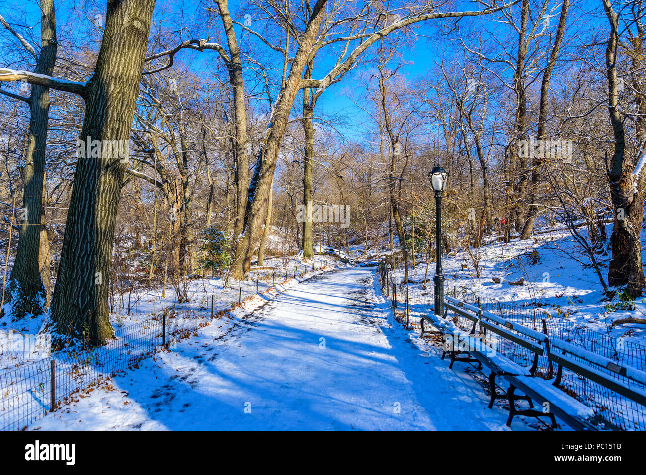 Winterlandschaft im Central Park von New York City mit Eis und Schnee, USA Stockfoto