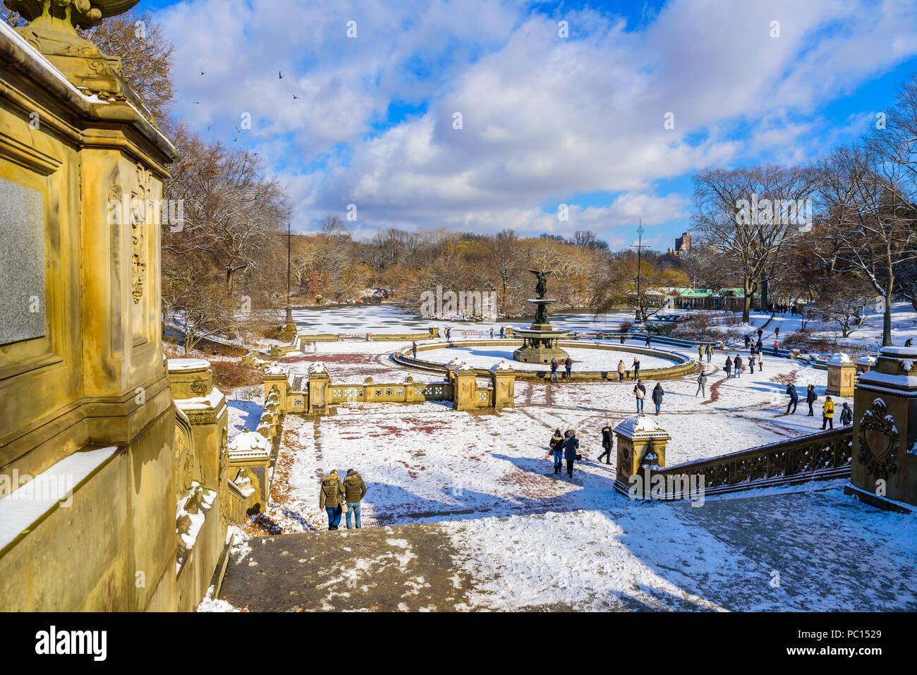 Winterlandschaft im Central Park von New York City mit Eis und Schnee, USA Stockfoto