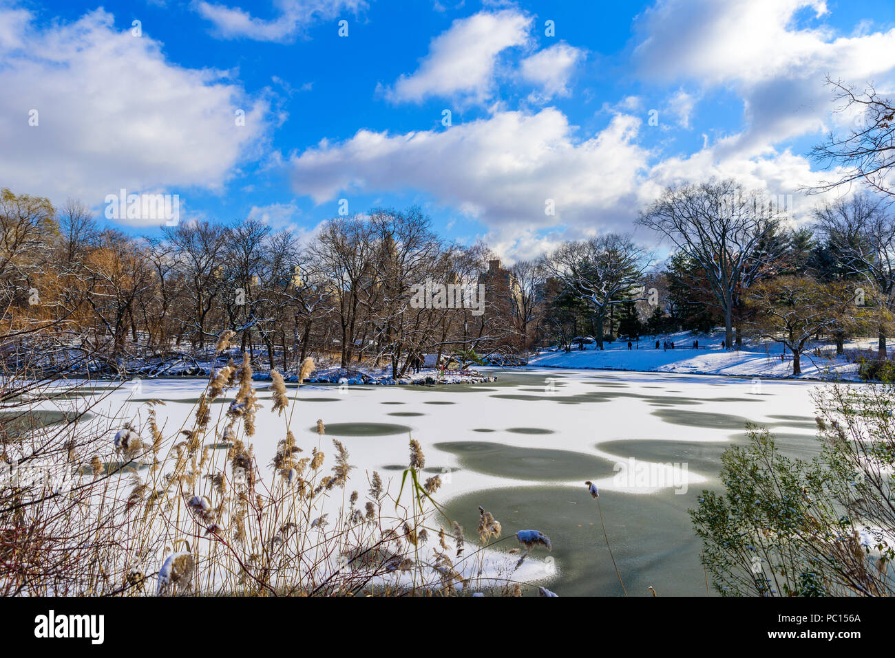 See im Central Park von New York City im Winter Landschaft, USA Stockfoto