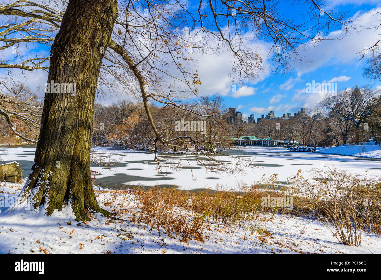 See im Central Park von New York City im Winter Landschaft, USA Stockfoto