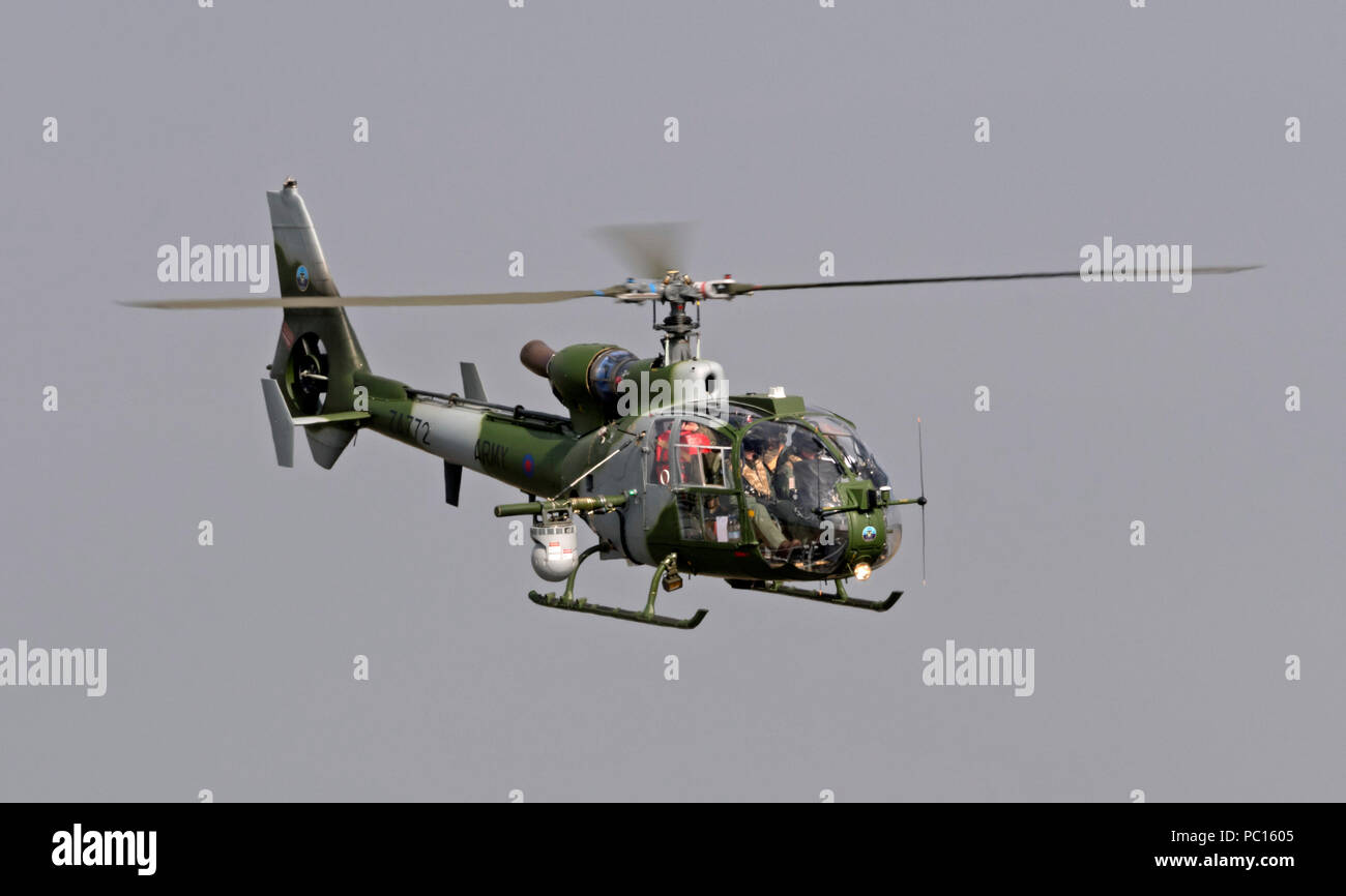 Britische Armee Gazelle AH 1 von 655 Squadron Stockfoto