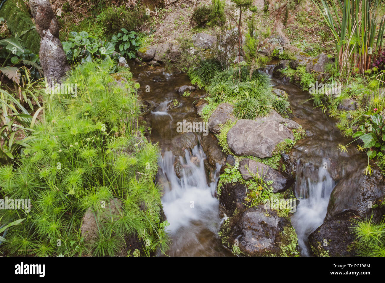 Natur reich an Thermalwasser, Mineralien und kräftigen Farben von überall, Dona Beija, Insel Sao Miguel, Azoren. Stockfoto