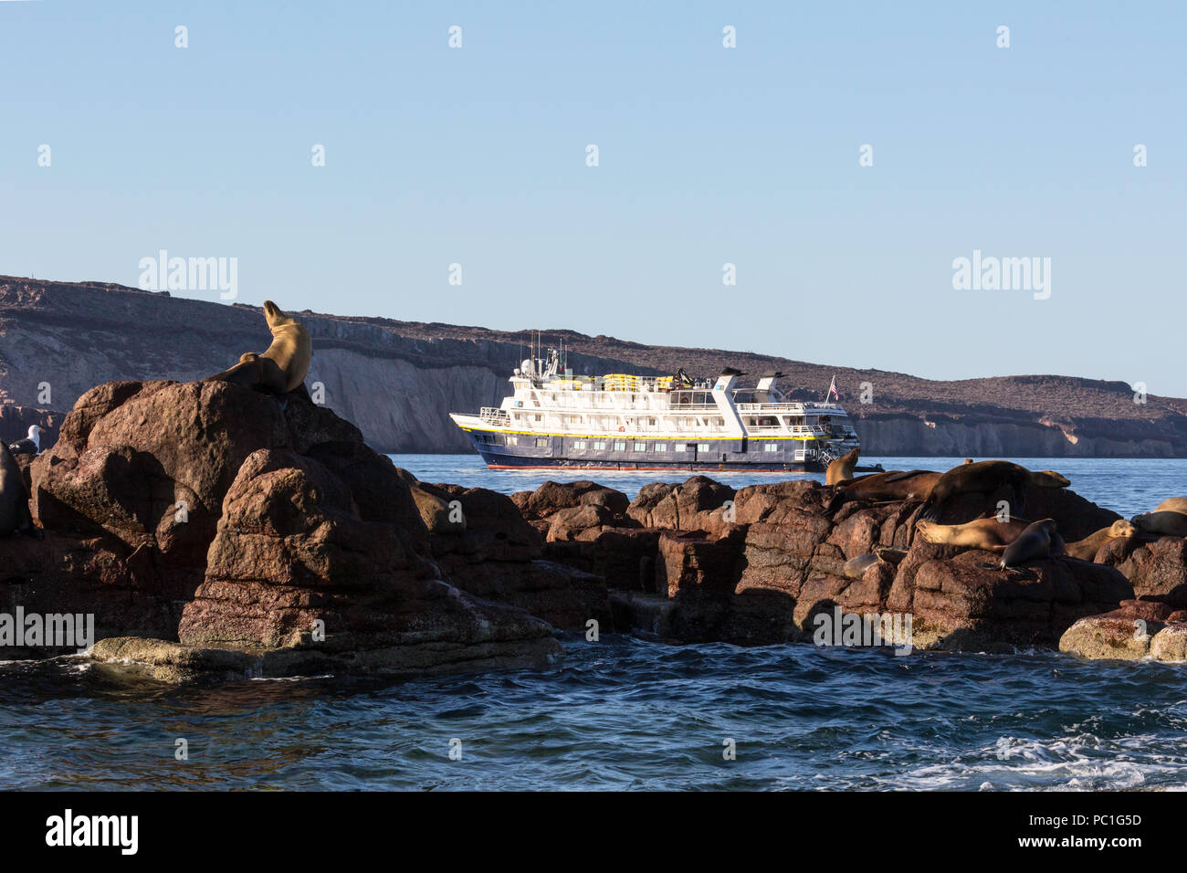 Die lindblad Expeditions Schiff National Geographic Sea Lion in Baja California Sur, Mexiko. Stockfoto